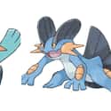 Marshtomp on Random Pokemon Whose Middle Evolutions Are Cooler Than Their Final Forms