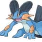 Swampert is listed (or ranked) 260 on the list Complete List of All Pokemon Characters
