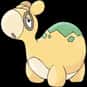 Numel is listed (or ranked) 322 on the list Complete List of All Pokemon Characters