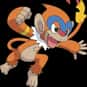 Monferno is listed (or ranked) 391 on the list Complete List of All Pokemon Characters