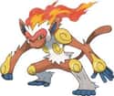 Infernape on Random Characters You Most Want To See In Super Smash Bros Switch