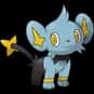 Shinx is listed (or ranked) 403 on the list Complete List of All Pokemon Characters