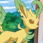 Leafeon is listed (or ranked) 470 on the list Complete List of All Pokemon Characters