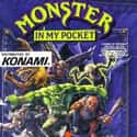 Monster In My Pocket on Random Single NES Game