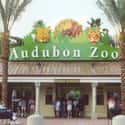 Audubon Zoo on Random Best Zoos in the United States