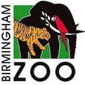 Birmingham Zoo on Random Best Zoos in the United States