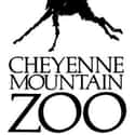 Cheyenne Mountain Zoo on Random Best Zoos in the United States