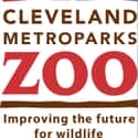 Cleveland Metroparks Zoo on Random Best Zoos in the United States