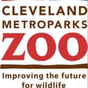 Cleveland Metroparks Zoo on Random Best Zoos in the United States