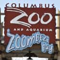 Columbus Zoo and Aquarium on Random Best Zoos in the United States