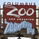 Columbus Zoo and Aquarium on Random Best Aquariums in the US