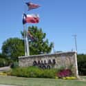 Dallas Zoo on Random Best Zoos in the United States