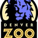 Denver Zoo on Random Best Zoos in the United States