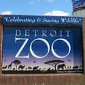 Detroit Zoo on Random Best Zoos in the United States
