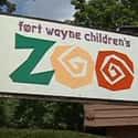 Fort Wayne Children's Zoo on Random Best Zoos in the United States