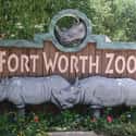 Fort Worth Zoo on Random Best Zoos in the United States