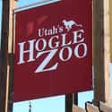 Hogle Zoo on Random Best Zoos in the United States