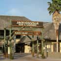 Jacksonville Zoo and Gardens on Random Best Zoos in the United States