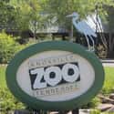 Knoxville Zoo on Random Best Zoos in the United States