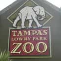 Lowry Park Zoo on Random Best Zoos in the United States