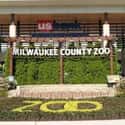 Milwaukee County Zoo on Random Best Zoos in the United States
