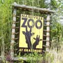 Nashville Zoo on Random Best Zoos in the United States