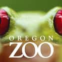 Oregon Zoo on Random Best Zoos in the United States