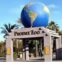Phoenix Zoo on Random Best Zoos in the United States