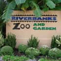 Riverbanks Zoo on Random Best Zoos in the United States