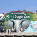 San Diego Zoo on Random Best Zoos in the United States