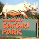 San Diego Zoo Safari Park on Random Best Zoos in the United States