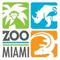Zoo Miami on Random Best Zoos in the United States