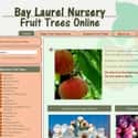 Bay Layrel Nursery on Random Best Plant Nursery Websites