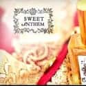 sweetanthem.com on Random Top Perfume and Cologne Websites