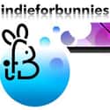 indieforbunnies.com on Random Best Indie Music Blogs