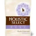 Holistic Select on Random Best Dog Food for Weight Loss