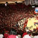 Loyd Noble Arena on Random Best College Basketball Arenas