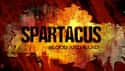 Spartacus on Random Best Action Drama Series
