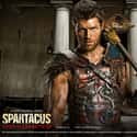Spartacus: War of the Damned on Random Movies If You Love 'Tudors'