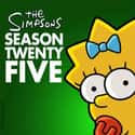 The Simpsons - Season 25 on Random Best Seasons of 'The Simpsons'