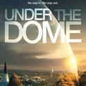 Under the Dome on Random Best Sci-Fi Shows Based On Books