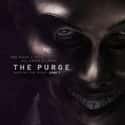 The Purge on Random Best Horror Movies of 21st Century