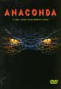 Anaconda on Random Scariest Horror Movie Animals