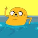 Jake the Dog on Random Adventure Time Character You  Are, According To Your Zodiac Sign