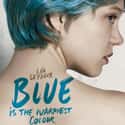 Blue Is the Warmest Colour on Random Best Foreign Romance Movies