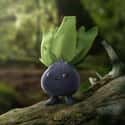 Oddish on Random 3D Pokemon Renders Created by This Artist Will Blow You Away