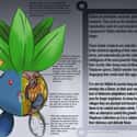 Oddish on Random Pieces of Hyper-Detailed Pokemon Anatomy Fan Art