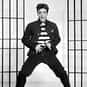 Vince Everett is listed (or ranked) 23 on the list The Greatest Fictional Rock Stars