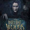Into the Woods on Random Best Meryl Streep Movies