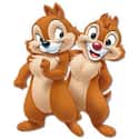 Chip 'n' Dale on Random Greatest Cartoon Characters in TV History